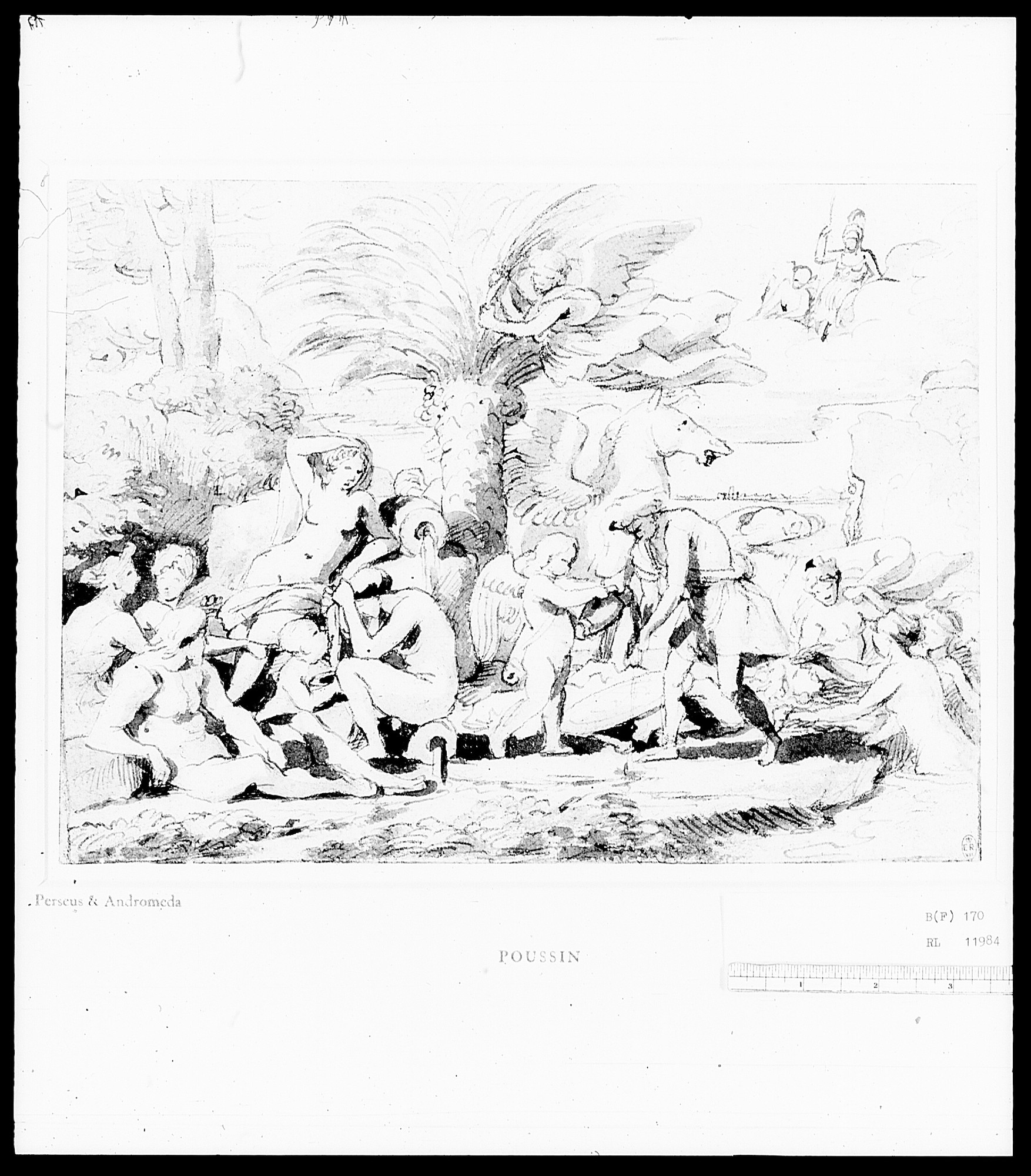 The Origin of Coral